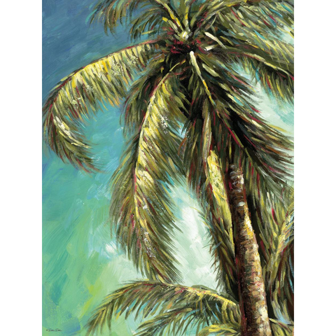 The Coconut Tree Poster Canvas