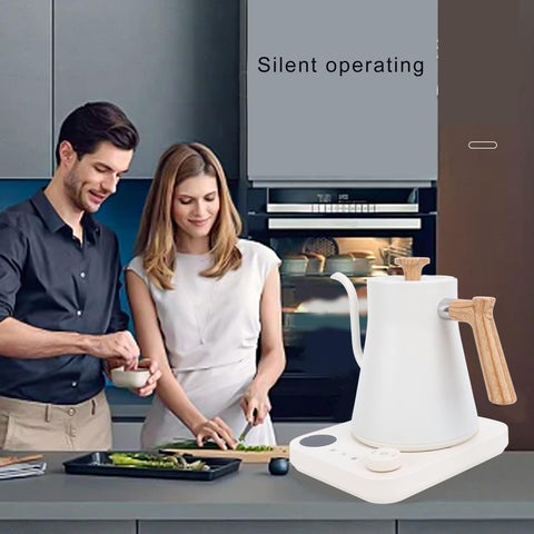 Electric Gooseneck Kettle with Precise Temperature Control, Timer & LCD Display – Stainless Steel Hot Water Kettle